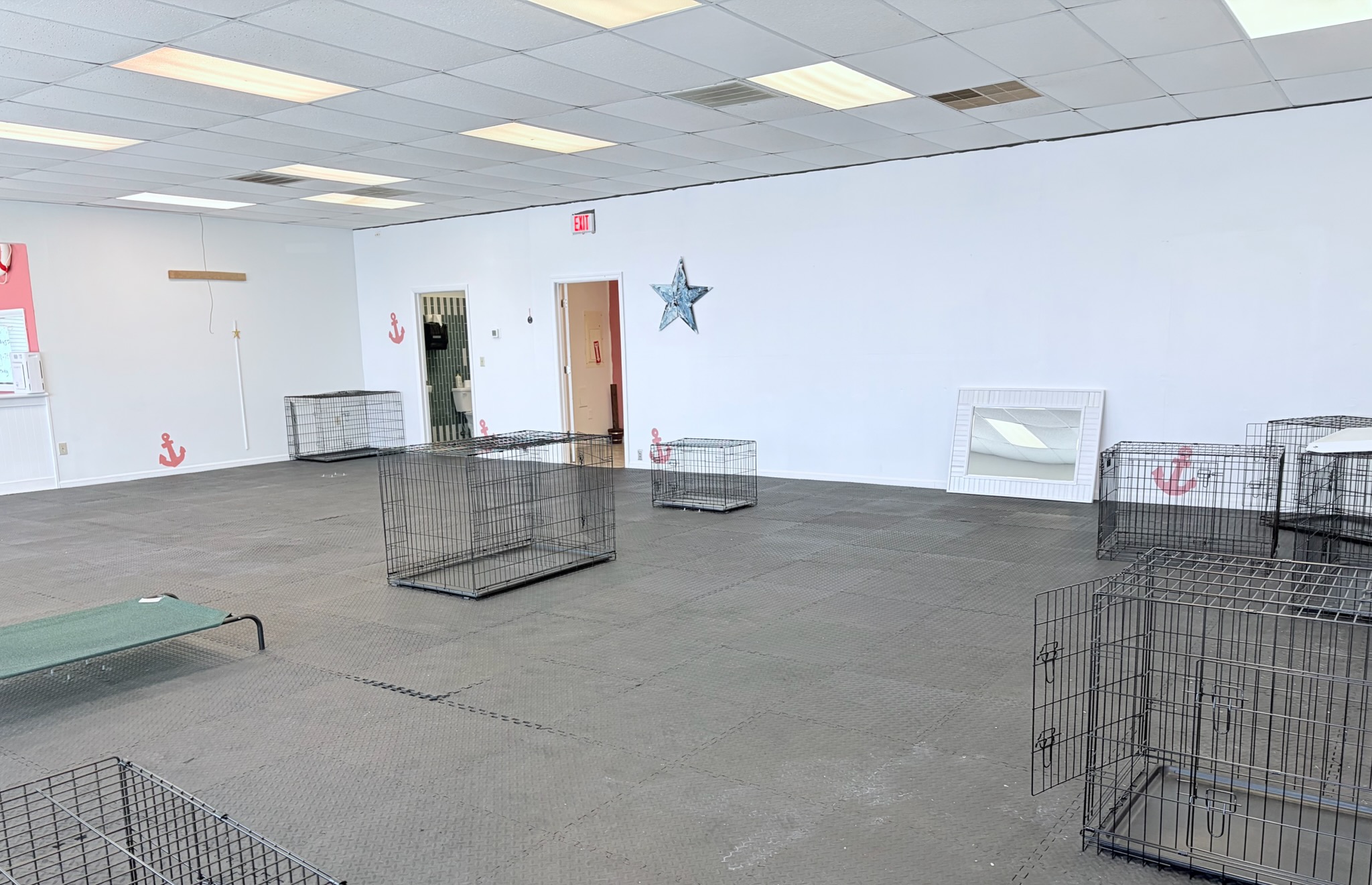 Ocean View Dog Boarding